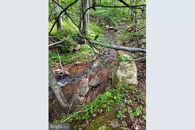 230 Polar Bear Road, Maysville, WV 26833 - Photo 4