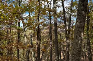 961 Almost Heaven Dr, Petersburg, WV 26847 - Photo 34