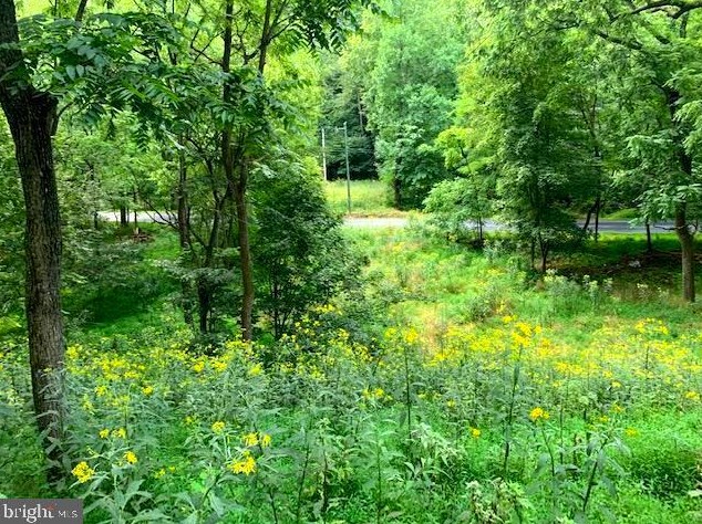190 Dove Hollow Rd, Baker, WV 26801