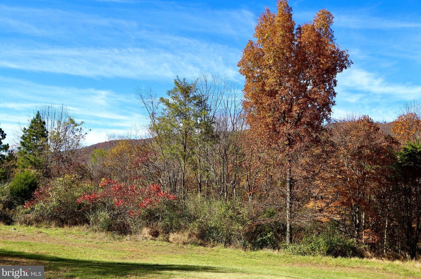 543 Coyote Run Rd, Mathias, WV 26812