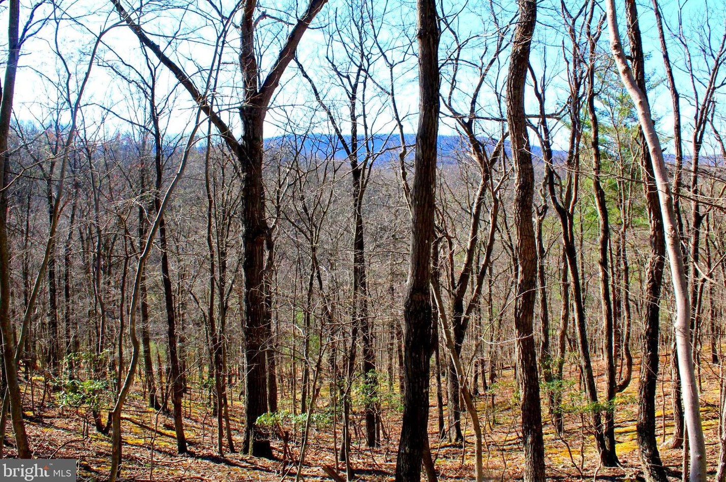 599 Terra Alta School Rd, Baker, WV 26801
