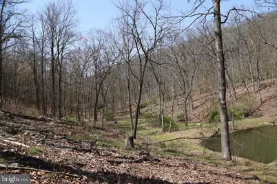 4423 High Knob Road, Old Fields, WV 26845 - Photo 24