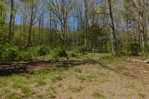 21165 State Road 55, Wardensville, WV 26851 - Photo 52