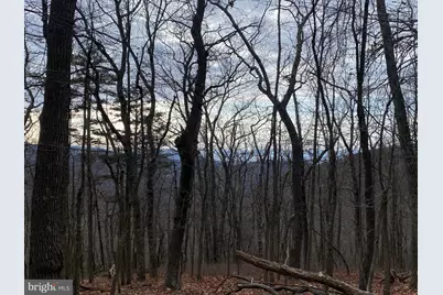 Lot 18 Top Of The Mountain Rd, Moorefield, WV 26836 - Photo 10