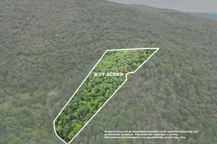 564 Highland Springs Rd, Moorefield, WV 26836 - Photo 4