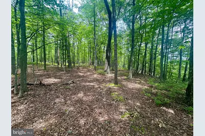 5620 High Knob Loop, Old Fields, WV 26845 - Photo 8