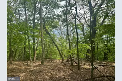 5620 High Knob Loop, Old Fields, WV 26845 - Photo 16