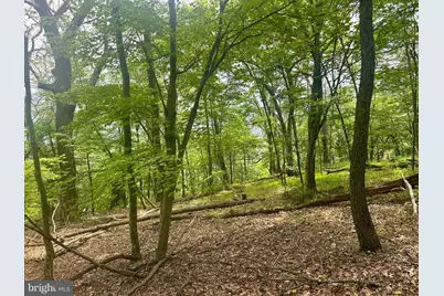 5620 High Knob Loop, Old Fields, WV 26845 - Photo 18