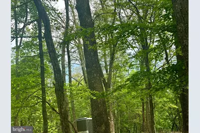 5620 High Knob Loop, Old Fields, WV 26845 - Photo 26