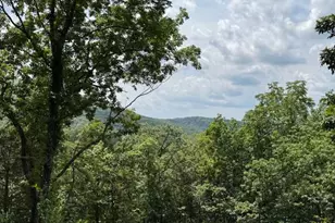 357 Pleasant Valley Dr, Lost City, WV 26810 - Photo 8