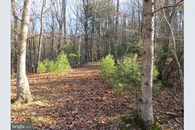 10 Cedarwood Drive Road, Mathias, WV 26812 - Photo 1