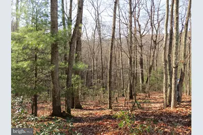 12 Cedarwood Drive Road, Mathias, WV 26812 - Photo 1