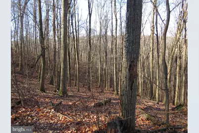 14A Cedarwood Drive Road, Mathias, WV 26812 - Photo 6