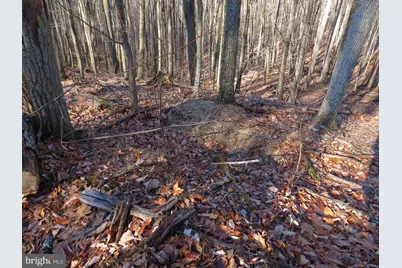 14A Cedarwood Drive Road, Mathias, WV 26812 - Photo 4