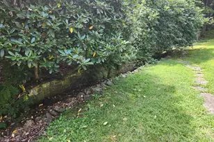 6836 State Road 55, Moorefield, WV 26836 - Photo 108