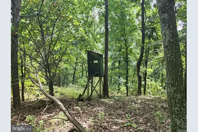 6836 State Road 55, Moorefield, WV 26836 - Photo 26