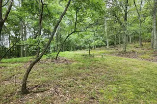 6836 State Road 55, Moorefield, WV 26836 - Photo 84