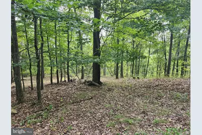 6836 State Road 55, Moorefield, WV 26836 - Photo 48