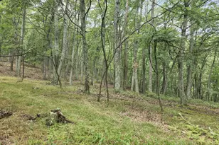 6836 State Road 55, Moorefield, WV 26836 - Photo 32