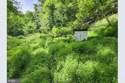 6836 State Road 55, Moorefield, WV 26836 - Photo 88