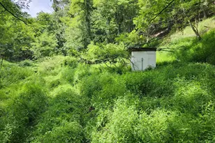 6836 State Road 55, Moorefield, WV 26836 - Photo 88