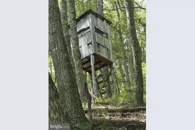 6836 State Road 55, Moorefield, WV 26836 - Photo 30