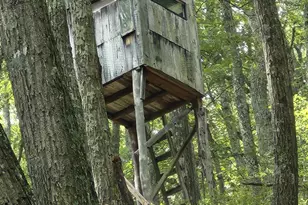 6836 State Road 55, Moorefield, WV 26836 - Photo 30