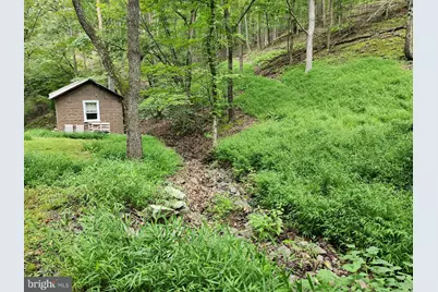 6836 State Road 55, Moorefield, WV 26836 - Photo 14