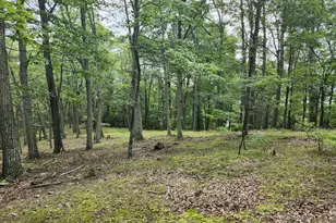 6836 State Road 55, Moorefield, WV 26836 - Photo 34