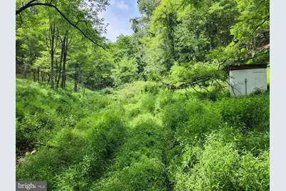 6836 State Road 55, Moorefield, WV 26836 - Photo 86