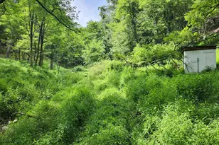 6836 State Road 55, Moorefield, WV 26836 - Photo 86