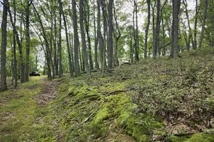 6836 State Road 55, Moorefield, WV 26836 - Photo 44