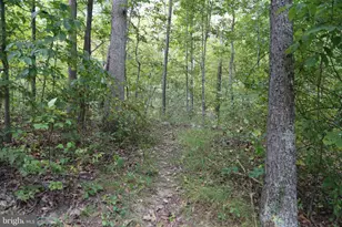 2868 Trout Run Rd, Wardensville, WV 26851 - Photo 40