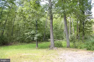 2868 Trout Run Rd, Wardensville, WV 26851 - Photo 38