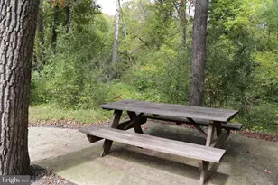 2868 Trout Run Rd, Wardensville, WV 26851 - Photo 30