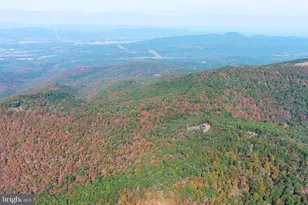 1239 Top Of The Mountain, Rio, WV 26755 - Photo 100