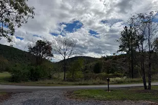 2192 Howards Lick Rd, Mathias, WV 26812 - Photo 54