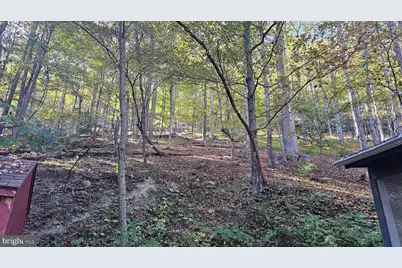 1195 Warden Lake A B Drive, Wardensville, WV 26851 - Photo 8