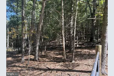 553 Lookout Ridge Drive, Wardensville, WV 26851 - Photo 4