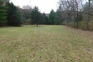 760 Wildlife Dr, Lost City, WV 26810 - Photo 8