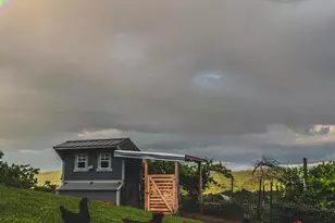 408 Hawks Nest Dr, Baker, WV 26801 - Photo 66