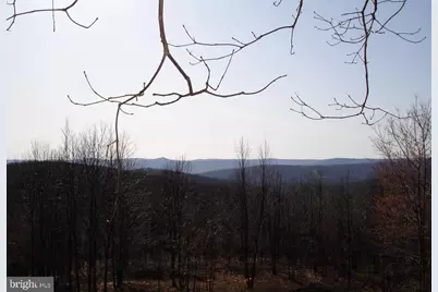 Lot 46 and 48 White Oak Pass, Mathias, WV 26812 - Photo 32
