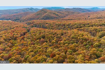 Lot 46 and 48 White Oak Pass, Mathias, WV 26812 - Photo 26