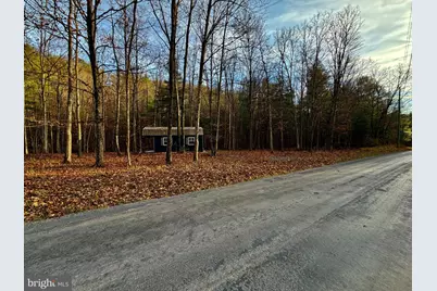 594 S Branch Mountain Road, Moorefield, WV 26836 - Photo 90