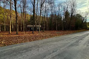 594 S Branch Mountain Rd, Moorefield, WV 26836 - Photo 90