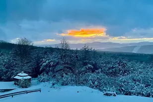 594 S Branch Mountain Rd, Moorefield, WV 26836 - Photo 22