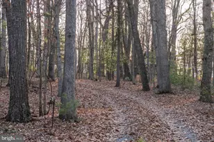 800 Cove Mountain Rd, Mathias, WV 26812 - Photo 66