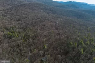 800 Cove Mountain Rd, Mathias, WV 26812 - Photo 88