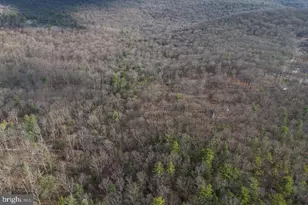 800 Cove Mountain Rd, Mathias, WV 26812 - Photo 90