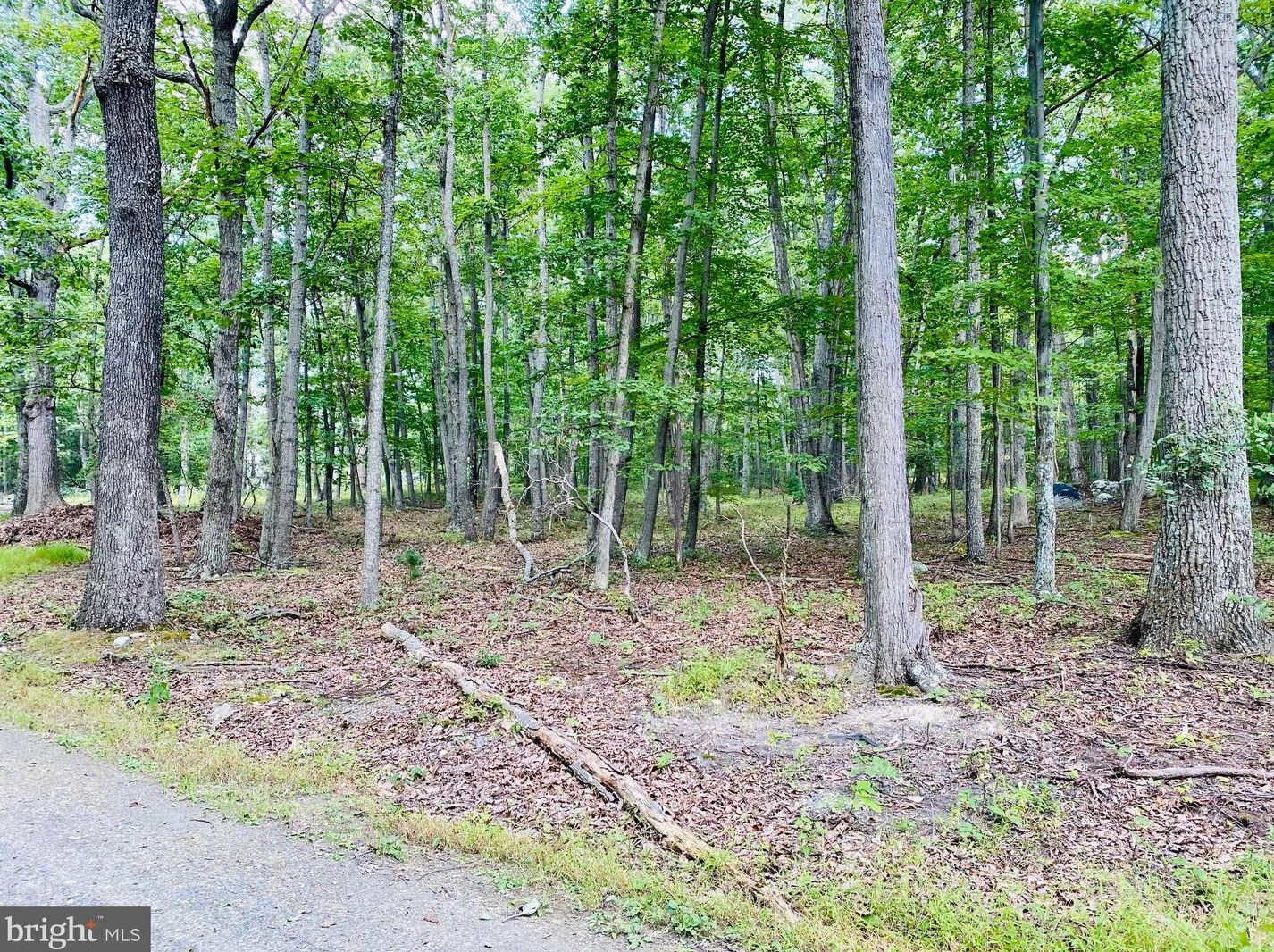 816 White Pne Ln, Capon Bridge WV 26711 exterior